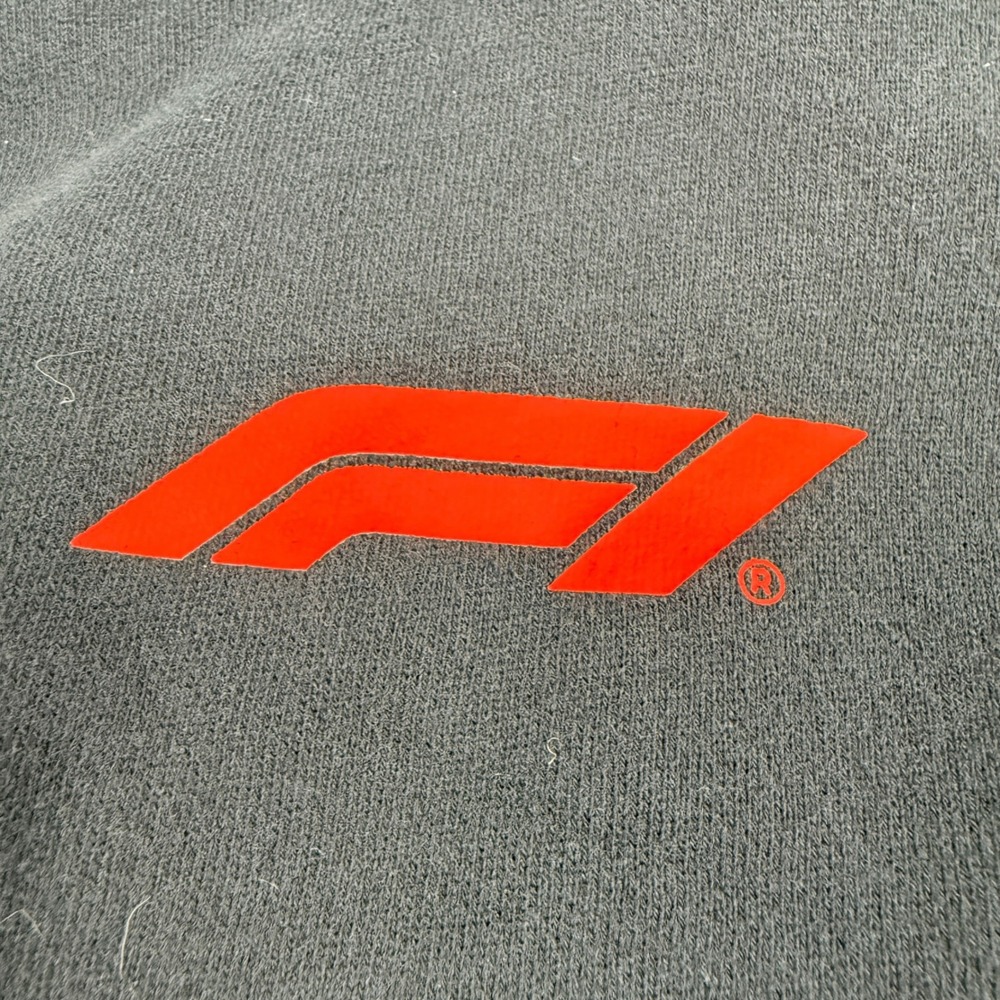 Formula 1 F1 Black Hoodie Sweatshirt Official Licensed Mens Small Graphic Print - Picture 4 of 9